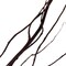 Uniquewise Natural Dry Branches Authentic Willow Sticks for Home Decoration and Wedding Craft, 37 inch QI004415.37 - alternate 8